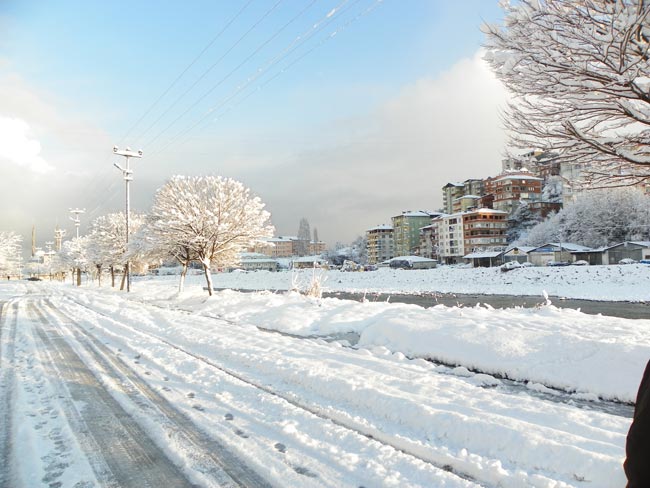 kar2.20120202094948.jpg kar2.20120202094948.jpg