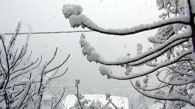 kar2.20150305194435.jpg kar2.20150305194435.jpg