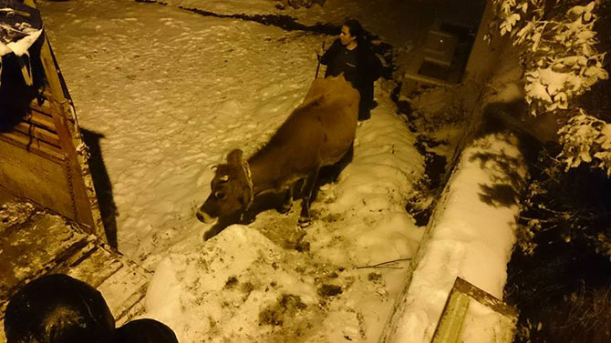 kar3-002.jpg kar3-002.jpg