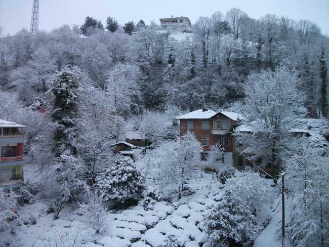 kar3.20120120074929.jpg kar3.20120120074929.jpg