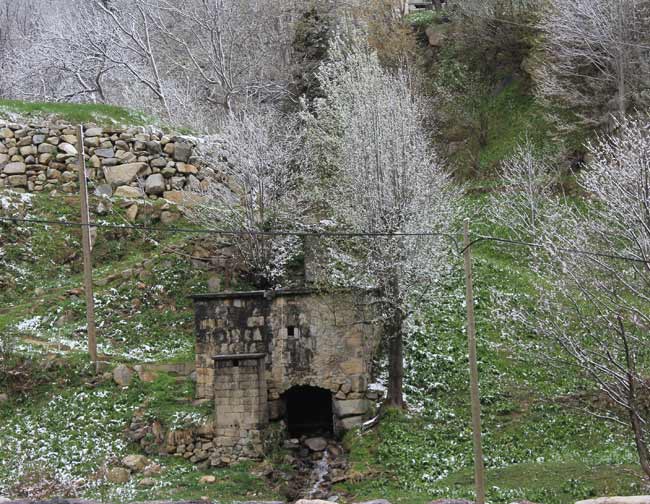 kar3.20150413094853.jpg kar3.20150413094853.jpg