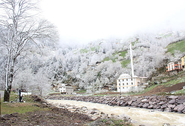 kar4.20150413094843.jpg kar4.20150413094843.jpg