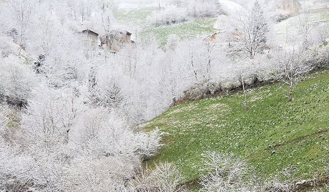 kar6.20150413094817.jpg kar6.20150413094817.jpg