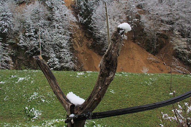 kar7.20150413094807.jpg kar7.20150413094807.jpg