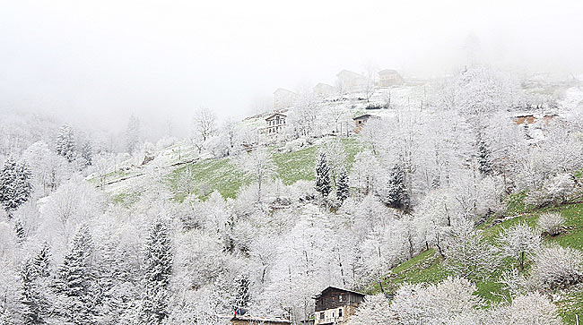 kar8.20150413094751.jpg kar8.20150413094751.jpg