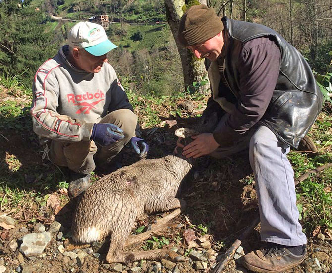 karaca1-002.jpg karaca1-002.jpg