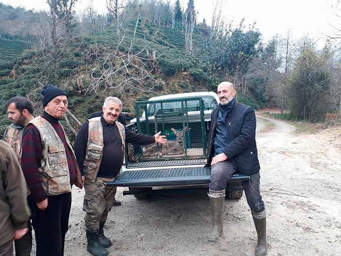 karaca1-004.jpg karaca1-004.jpg