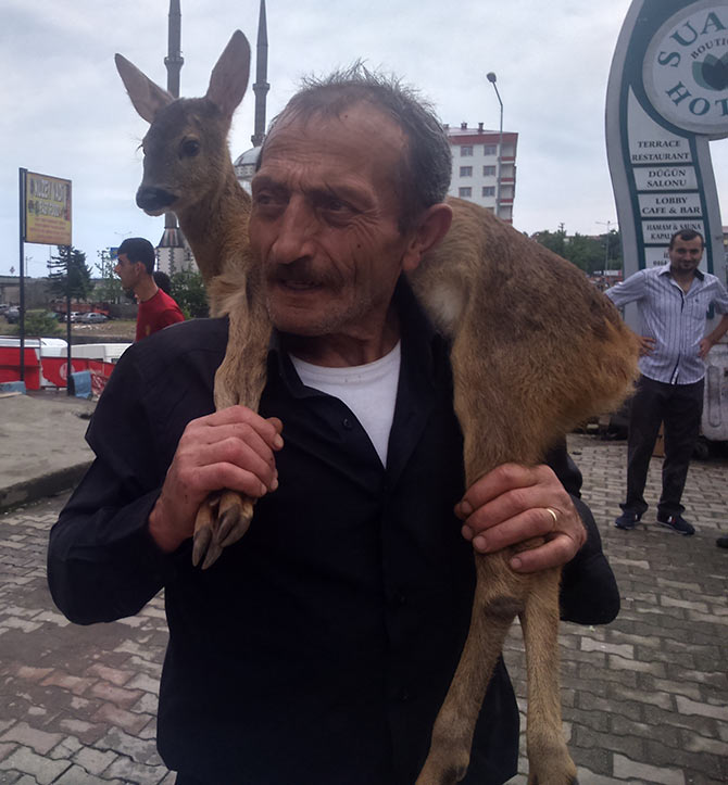 karaca2-001.jpg karaca2-001.jpg