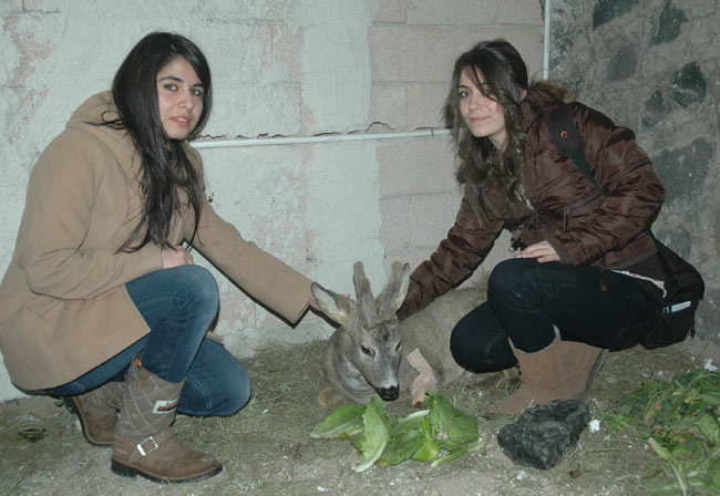 karaca2.20130130141932.jpg karaca2.20130130141932.jpg