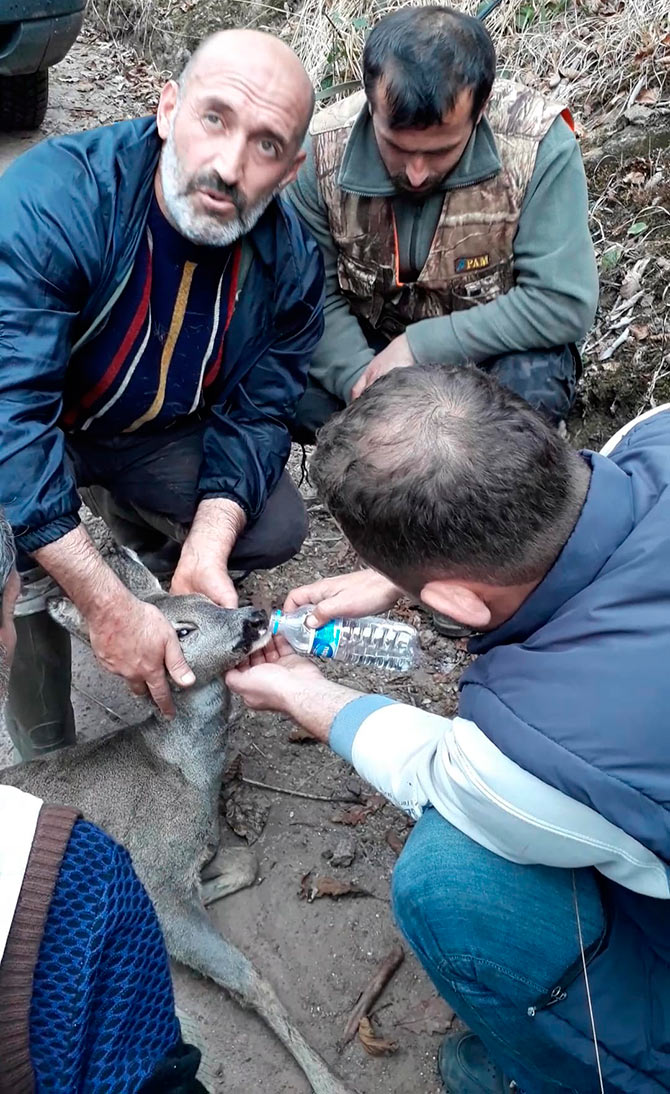 karaca3-002.jpg karaca3-002.jpg