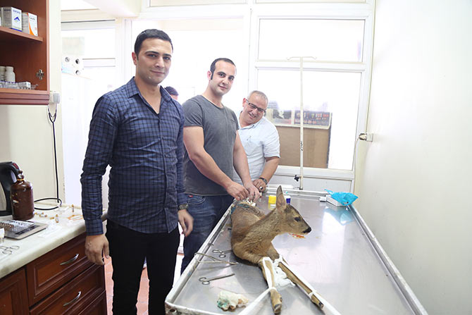 karaca4-001.jpg karaca4-001.jpg