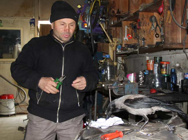 karga3.jpg karga3.jpg