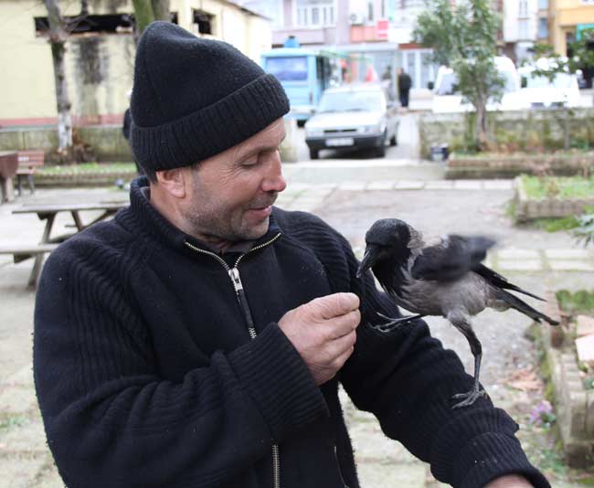 karga4.jpg karga4.jpg