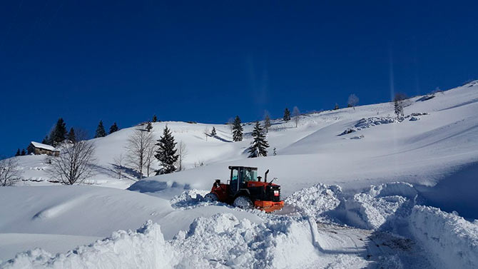 karyol1.jpg karyol1.jpg