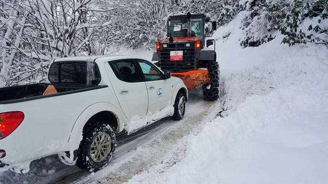 karyol6.jpg karyol6.jpg