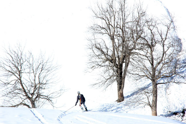 kayak7.jpg kayak7.jpg