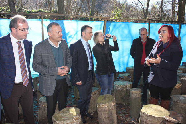 kayinmatari05.jpg kayinmatari05.jpg