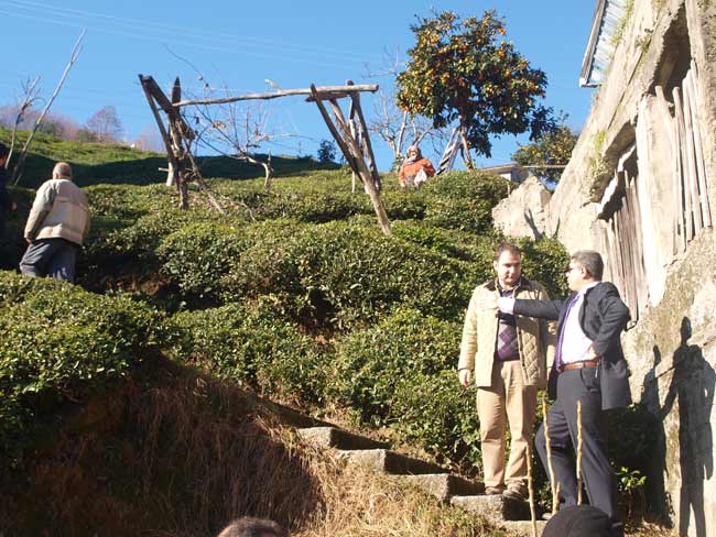 kaym1.20140109160103.jpg kaym1.20140109160103.jpg