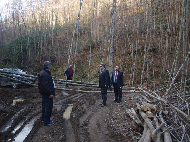 kaym2.20140213142226.jpg kaym2.20140213142226.jpg