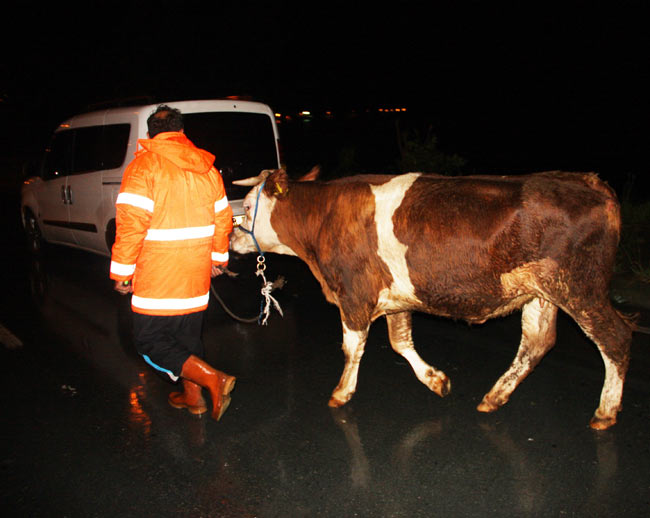 kaza02.20140920104823.jpg kaza02.20140920104823.jpg