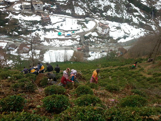 kaza1-069.jpg kaza1-069.jpg