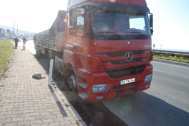 kaza1.20120330181041.jpg kaza1.20120330181041.jpg