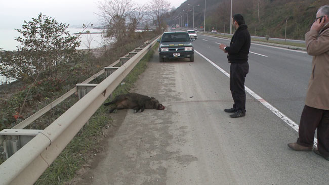 kaza1.20140105222915.jpg kaza1.20140105222915.jpg