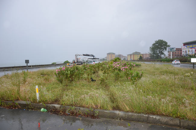 kaza1.20140622132001.jpg kaza1.20140622132001.jpg