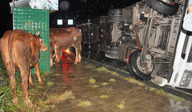 kaza1.20140920104547.jpg kaza1.20140920104547.jpg