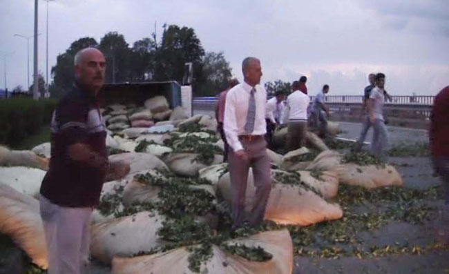 kaza2.20130728145426.jpg kaza2.20130728145426.jpg