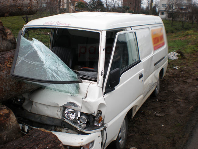 kaza3.20130131112716.jpg kaza3.20130131112716.jpg