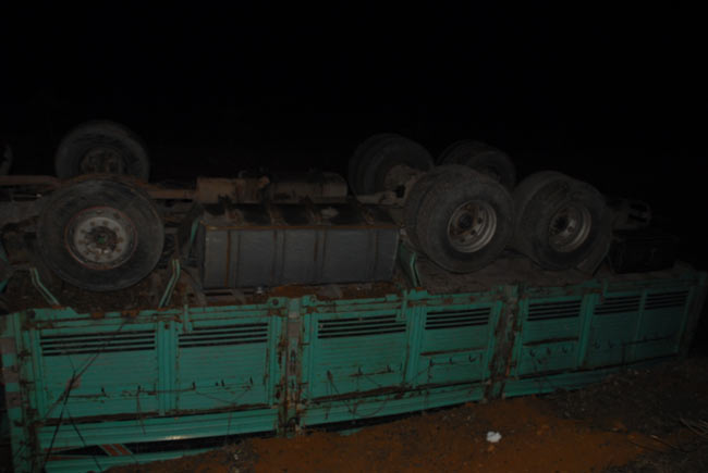 kaza3.20150304085247.jpg kaza3.20150304085247.jpg