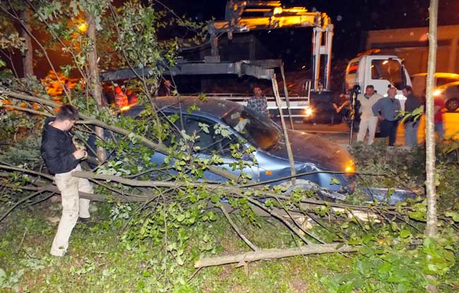 kaza5.20130501221051.jpg kaza5.20130501221051.jpg