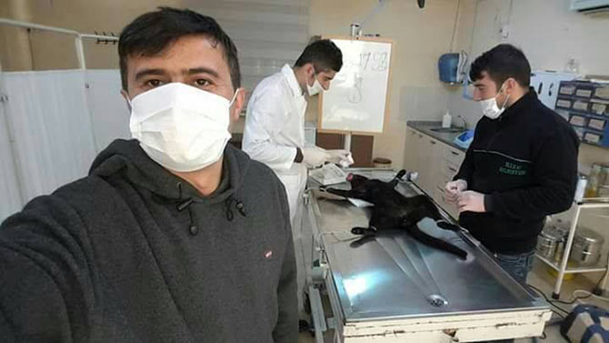 kedi2-001.jpg kedi2-001.jpg