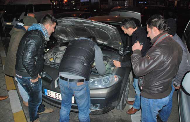 kedi2.20130103162245.jpg kedi2.20130103162245.jpg