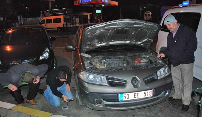 kedi3.20130103162256.jpg kedi3.20130103162256.jpg