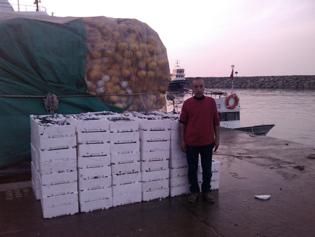 kefal2.jpg kefal2.jpg