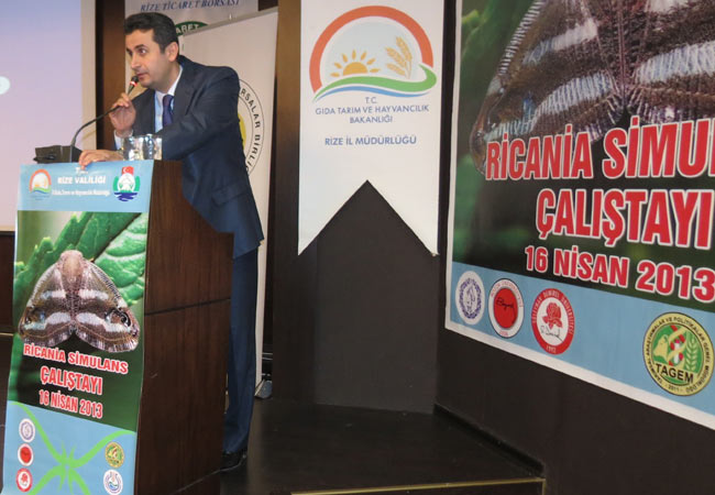 kelebek1.jpg kelebek1.jpg