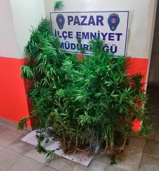 kenevir1-001.jpg kenevir1-001.jpg