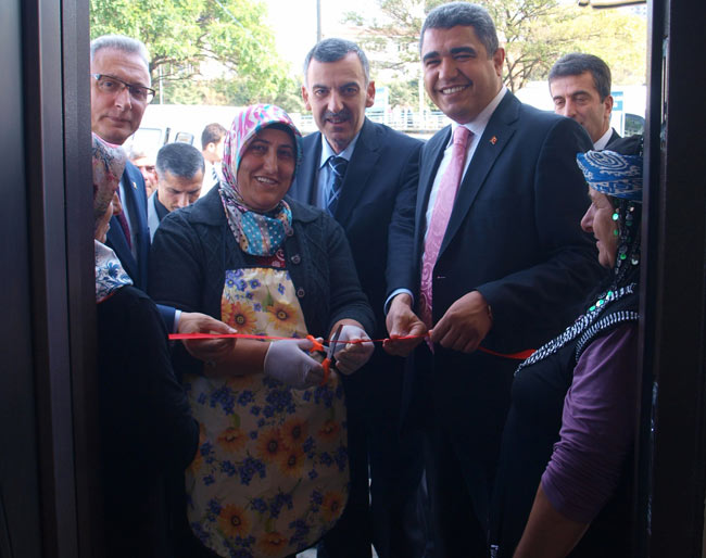 kermes2.20131107172401.jpg kermes2.20131107172401.jpg