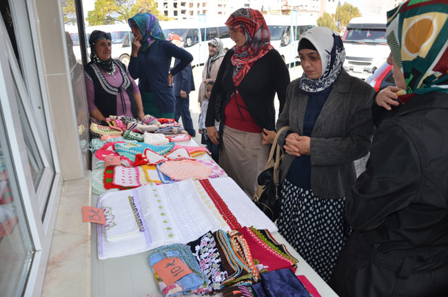 kermes3.20131107173938.jpg kermes3.20131107173938.jpg