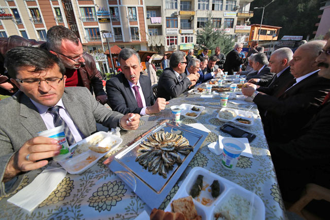 kermes5.20141113152501.jpg kermes5.20141113152501.jpg