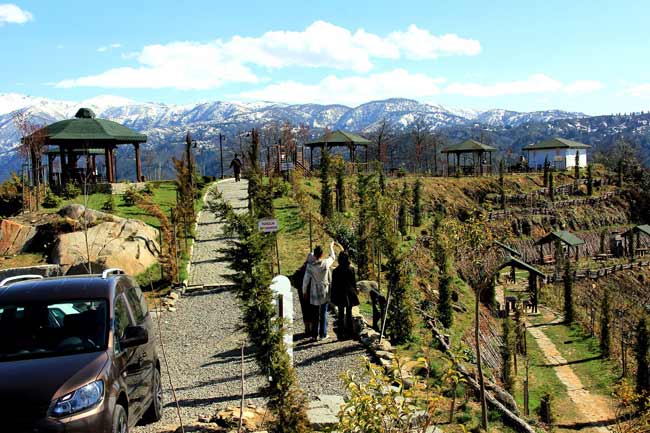 kible01.jpg kible01.jpg