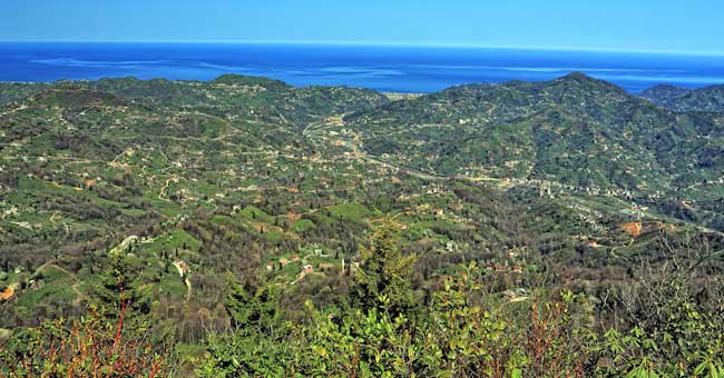 kible05.jpg kible05.jpg