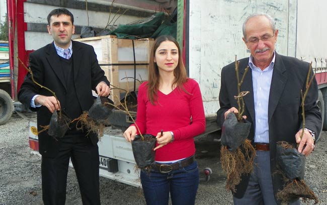 kivi-fidan-dagitimi1.jpg kivi-fidan-dagitimi1.jpg