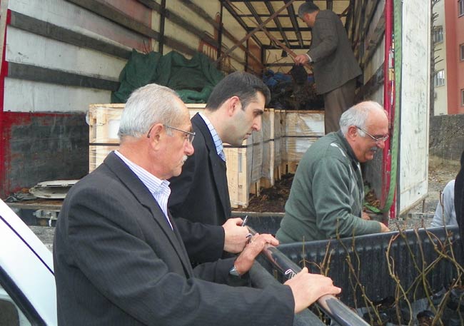 kivi-fidan-dagitimi2.jpg kivi-fidan-dagitimi2.jpg