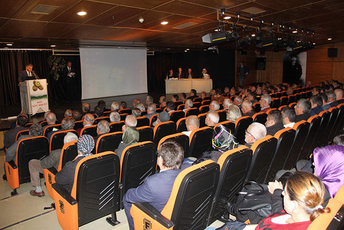 kivi1-001.jpg kivi1-001.jpg