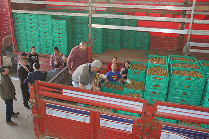 kivi1-004.jpg kivi1-004.jpg