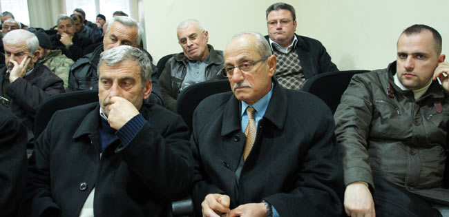 kivi1.20130228144542.jpg kivi1.20130228144542.jpg