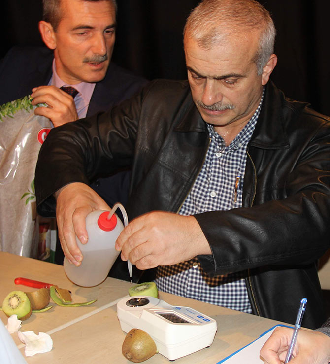 kivi2-001.jpg kivi2-001.jpg